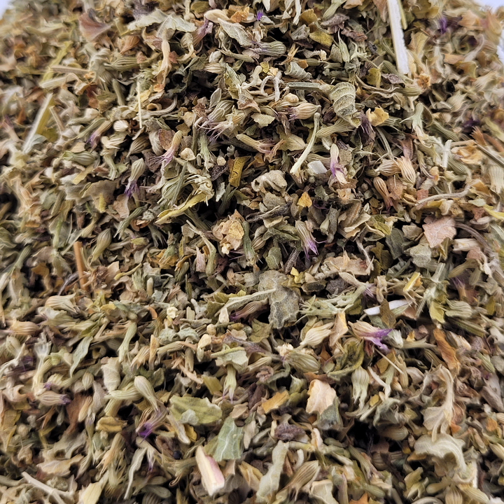 zoomed in image of organic catnip