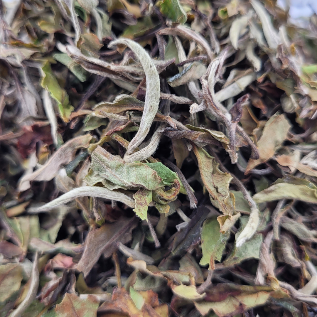 White Tea