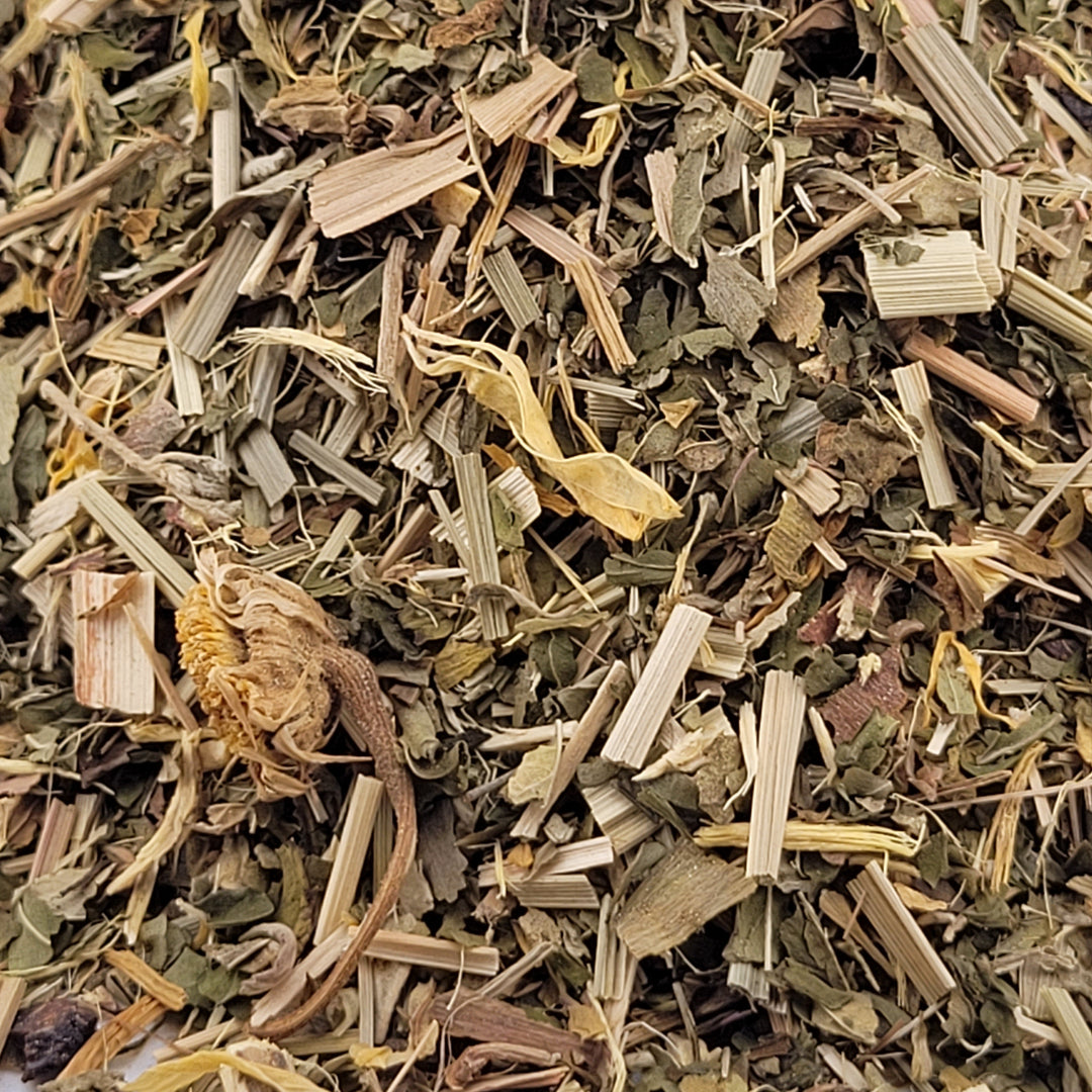 Close-up of dried herbs and plants on a white background Brains