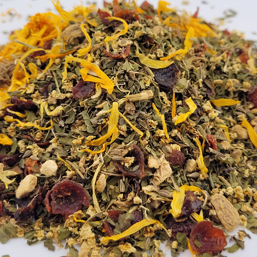 Close-up of a mix of dried herbs and spices on a white background