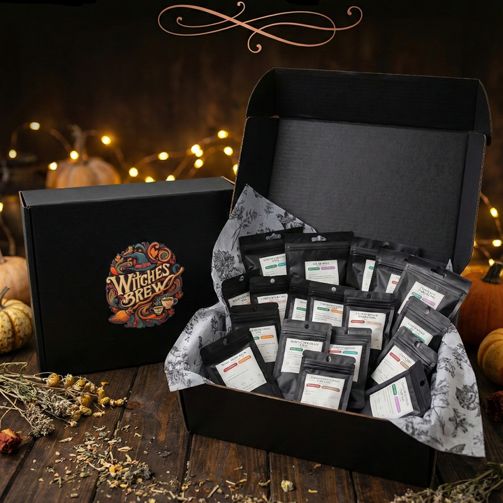 Black box with 'Witches Brew' logo containing tea bags on a wooden surface with pumpkins and lights in the background.