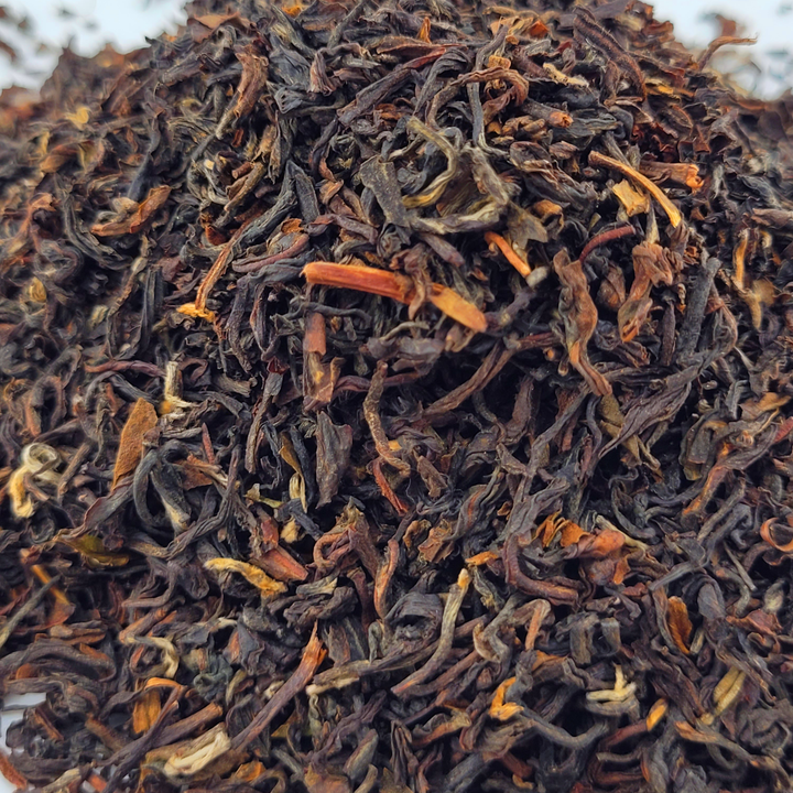 Cloud Kissed Darjeeling